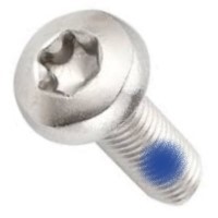 M2.5-.45 X 6 TORX PAN M/S SS PATCH